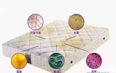 席虫图片