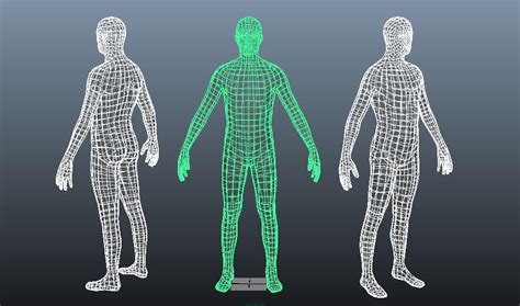 三维数字人体(3D Digital human) - 知乎