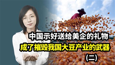 中国示好送给美企的礼物，竟成了他们摧毁我国大豆产业的武器（二）_凤凰网视频_凤凰网