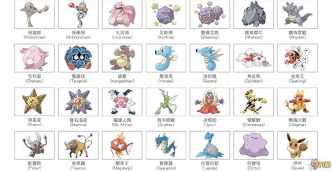 宠物小精灵图鉴图片