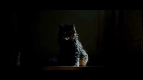 《宠物坟场》-高清电影-完整版在线观看