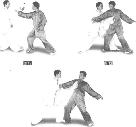 一、第3式左棚势|杨式太极拳体用图解|武术世家