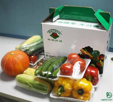 【装蔬菜礼盒】_装蔬菜礼盒品牌/图片/价格_装蔬菜礼盒批发_阿里巴巴