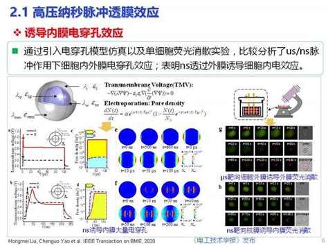 重庆大学姚陈果教授：高压超短电脉冲对肿瘤细胞的选择性作用机理 - 电气技术杂志社