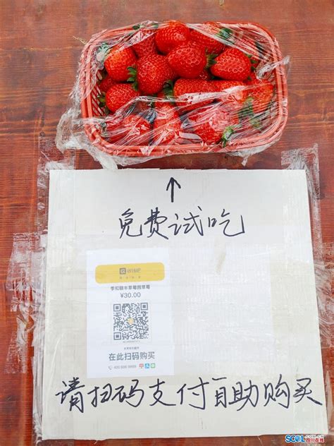 小清新草莓藤广告牌图片免费下载_PNG素材_编号14nik8473_图精灵