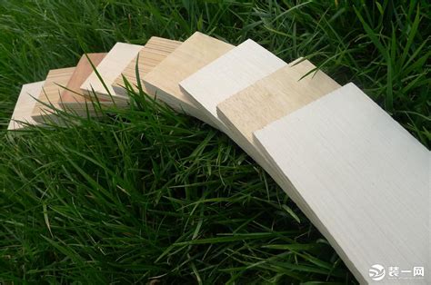 木材的分类和构造_挂云帆