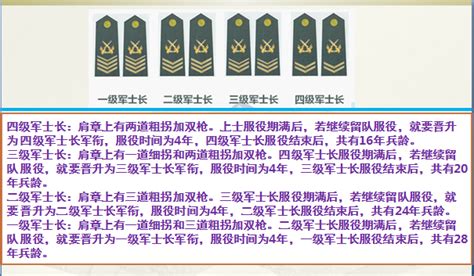 中国少校军衔是什么级别的军官（军衔少校军衔是什么级别的军官） | 大商梦