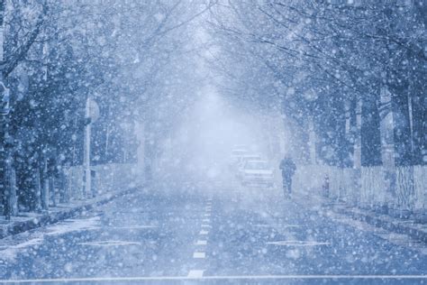 大雪纷飞！哈尔滨天地浑然一体 市民冒雪出行 _TOM旅游