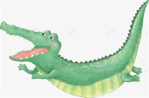 小鳄鱼图片