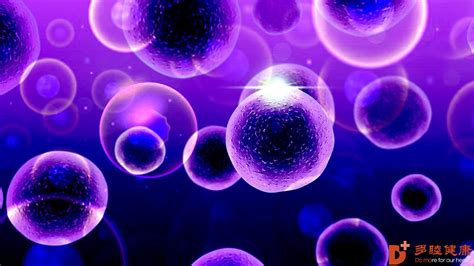 干细胞治疗：间充质干细胞是怎么抗衰老的_多睦健康海外高端医疗