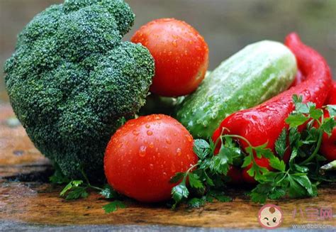 亲子活动《蔬菜与营养》方案