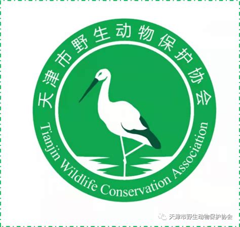 纪念中国野生动物保护协会成立35周年座谈会在北京举办-国际环保在线