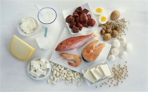 蛋白质含量最高的食物有哪些？ - 知乎