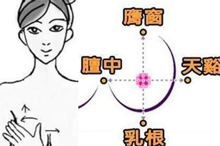 胸部穴位图图片