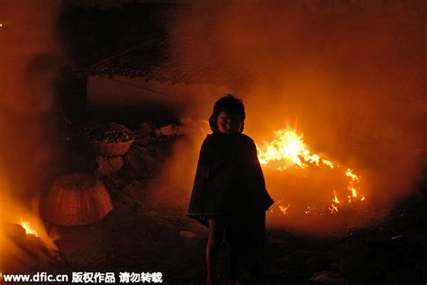 3起森林火灾起火原因查明！南山公园森林火灾系人为纵火_深圳新闻网
