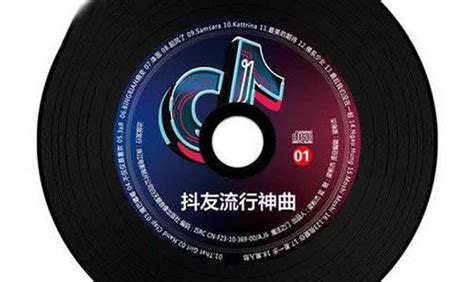 抖音热门中文歌曲推荐：好听到爆的抖音歌曲-参考网