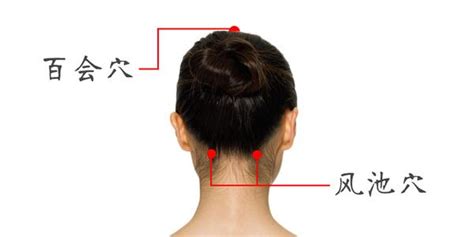 百会的准确位置图图片