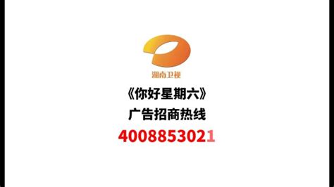 湖南卫视logo;台标