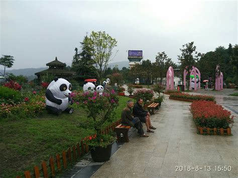 2023雅安碧峰峡熊猫基地游玩攻略,带宝宝来看熊猫，门票有点贵...【去哪儿攻略】