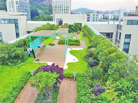 常州屋顶绿化-墙面绿化|垂直绿化|高架桥绿化|立体绿化|桥梁绿化|武汉市安友科技有限公司