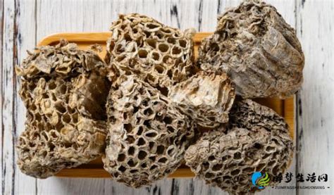 蜂房长什么样子的图片 蜂房的营养价值及功效与作用 - 醉梦生活网