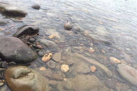 河边石头怎么分辨玉石 普通河里能捡到玉石吗？从这三个方面来判断 | 说明书网