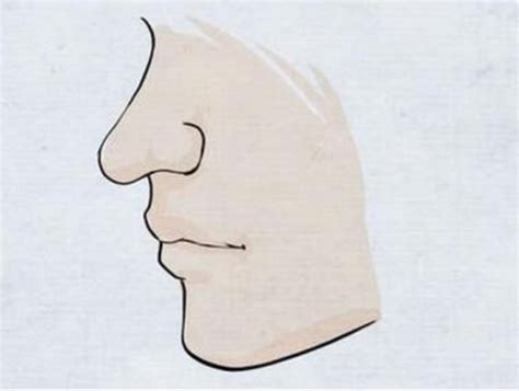 鼻子的雅称一个字,鼻子好听的名字,比喻鼻子的优美句子(第6页)_大山谷图库