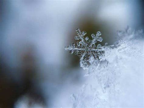 描写冬天的四字词语 描写冬天的四字词语精选_知秀网