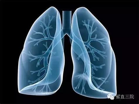 肺部孤立性结节是什么意思,肺孤立性结节一般是严重吗,肺部孤立性结节怎么办_全球肿瘤医生网