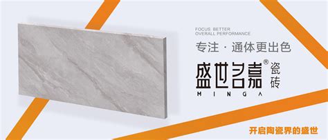 广东佛山创嘉陶瓷有限公司|8L050-产品展示