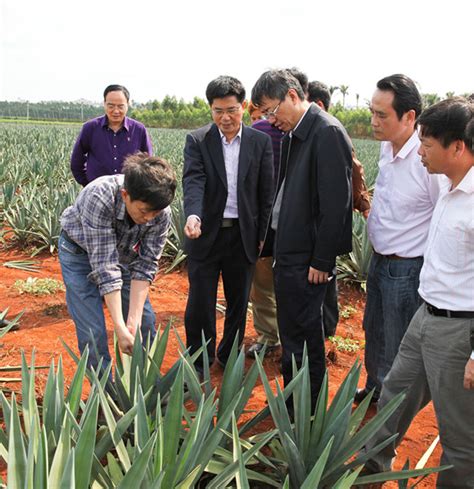 农业机械研究所 科研动态 根土复合体垄作对向深松试验取得预期成效