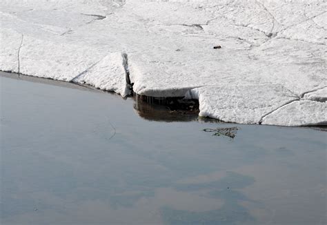 长春伊通河开始融化 冰与水交织 切勿上冰涉险|冰面|湖水|长春_新浪新闻