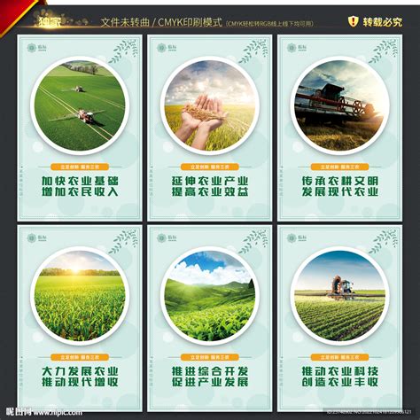 农业丰收宣传册整套模板素材-正版图片400827255-摄图网