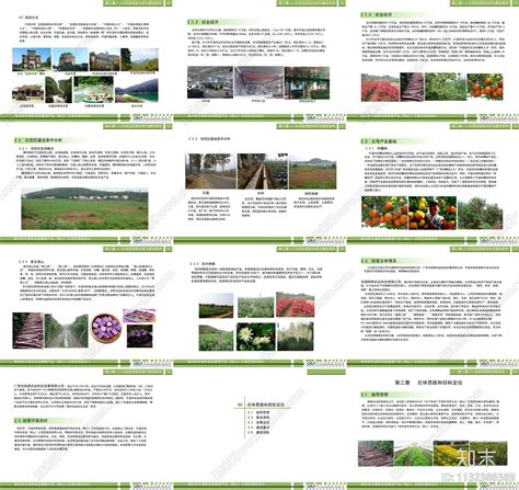 梧州岑溪名优果蔬产业景观方案文本下载【ID:1132388389】_【知末方案文本库】