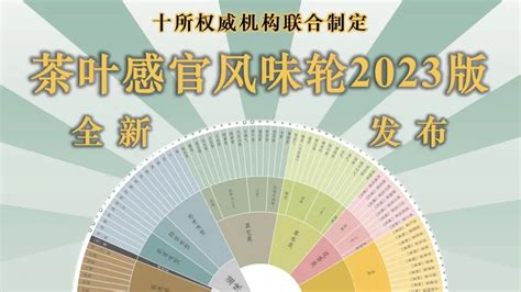 十所权威机构联合发布茶叶感官风味轮2023版 – 普洱堂——探寻普洱茶世界，感受普洱茶生活！