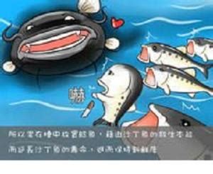 鲶鱼效应 - 心理百科 - 连云港高级中学