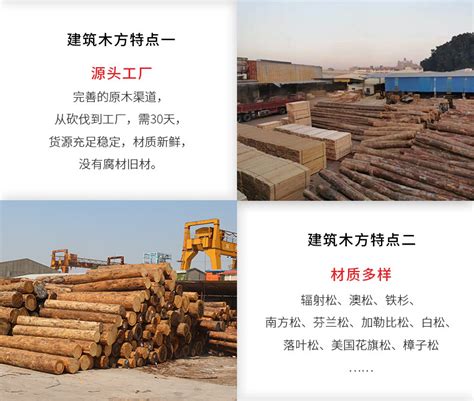 原木价格,最新木材市场价格和走势-中国木业信息网