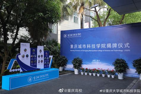 巴南重庆城市科技学院,重庆科技学院平面图_大山谷图库