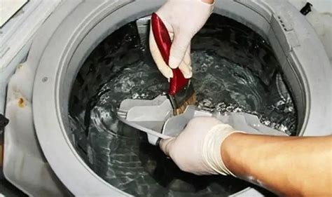 清洗洗衣机的方法（几个方法教你彻底清洁洗衣机） – 碳资讯
