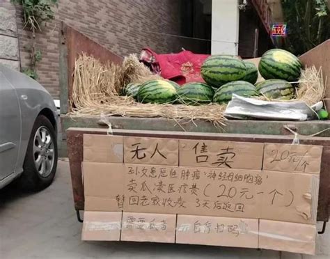 央媒看河南丨郑州无人售卖西瓜摊火了，很多人付钱却不拿瓜……-大河网