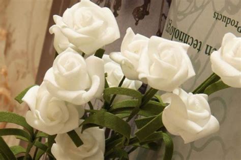 白玫瑰代表什么意思？表达纯洁浪漫的爱情-爱薇女性网
