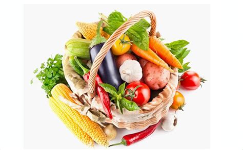 政府“菜篮子”工程建设 推进昆明蔬菜行业发展 - 昆明拉克达蔬菜配送