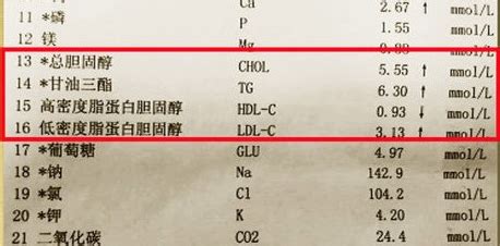 医学化验中的TC、TG、HDL、GLU分别是什么意思
