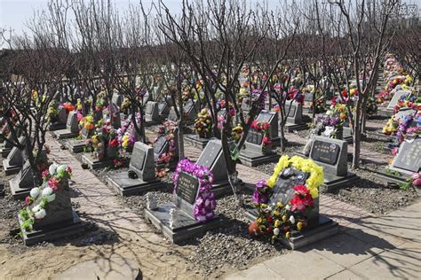 中国为什么要禁止土葬？_三思经验网