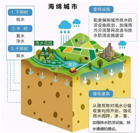 节水优先 强化水资源管理 南山一直在行动_深圳新闻网