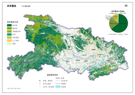 今年造林150万亩 后年森林覆盖率提至20%-大众日报数字报