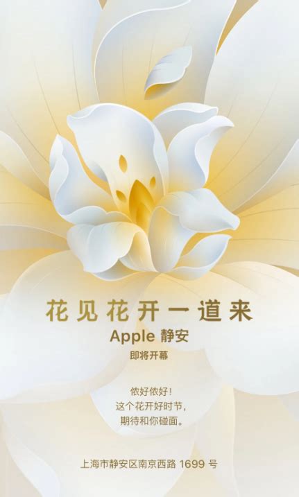 关于上海apple旗舰店-上海苹果旗舰店有几家分别在哪