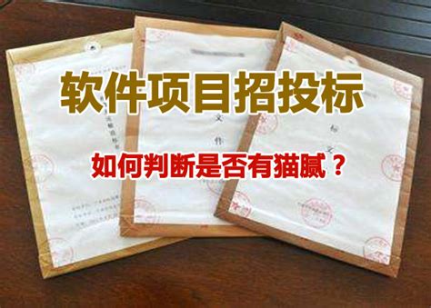 软件企业参与软件开发项目招投标如何判断是否有猫腻？_西安软件开发公司