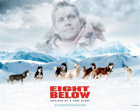 ‎Eight Below (2006) directed by Frank Marshall • Reviews, film + cast ...