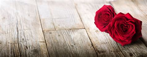 红玫瑰图片-两朵红玫瑰素材-高清图片-摄影照片-寻图免费打包下载